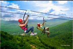 Nyungwe National Park + Canopy Walk Adventure.