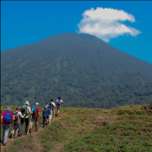 🏔️ Volcanoes National Park Day Trip